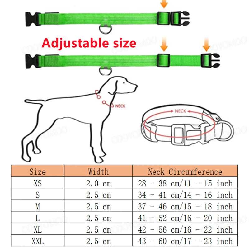 LED Glow Dog Collar
