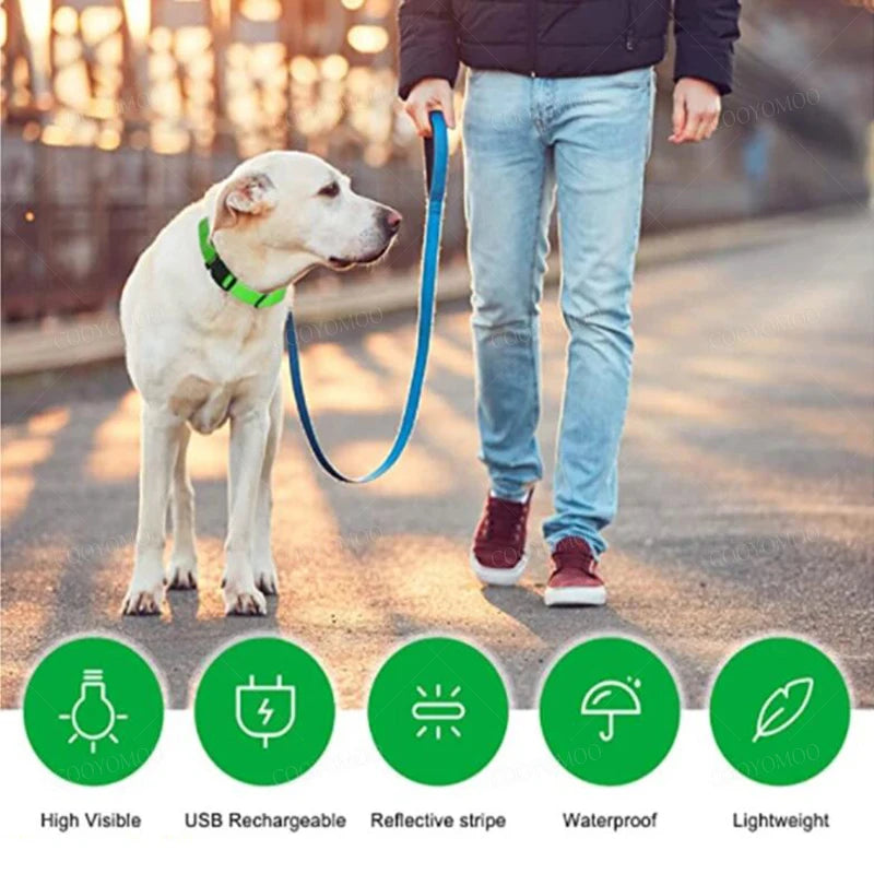 LED Glow Dog Collar