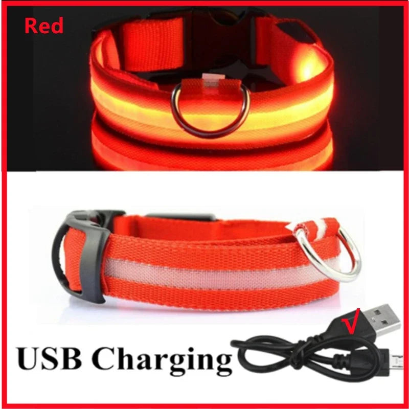 LED Glow Dog Collar