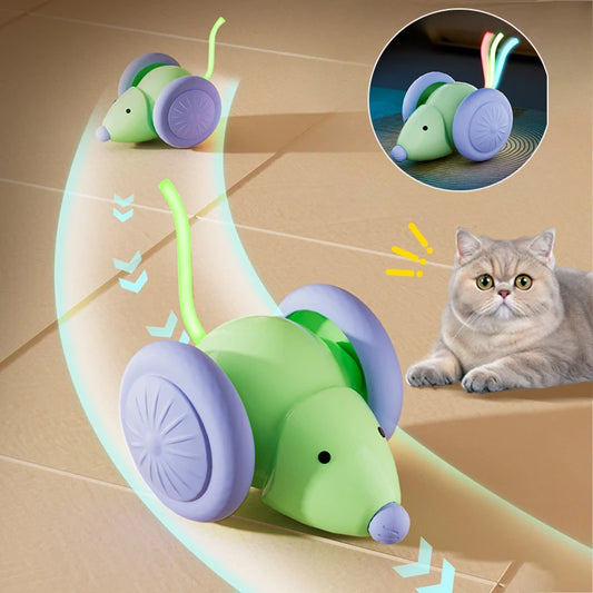 Electric Interactive Cat Mouse Car Toy