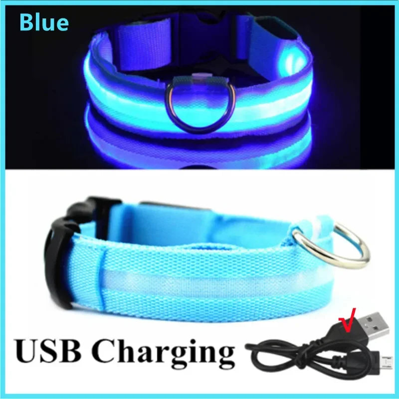 LED Glow Dog Collar
