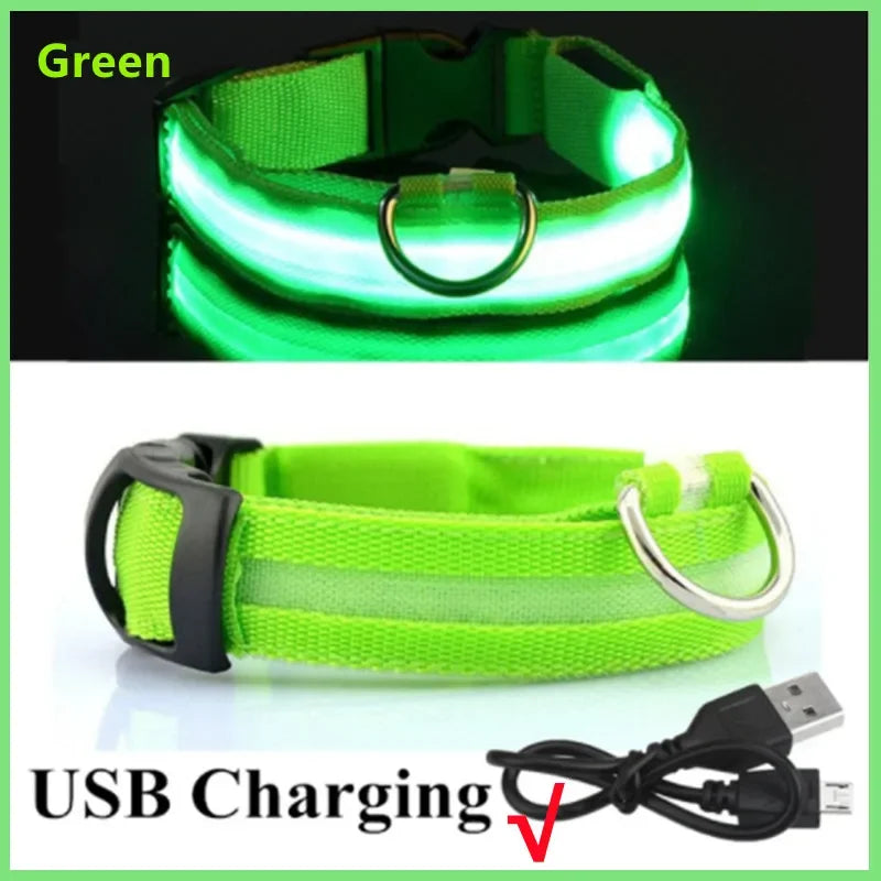 LED Glow Dog Collar