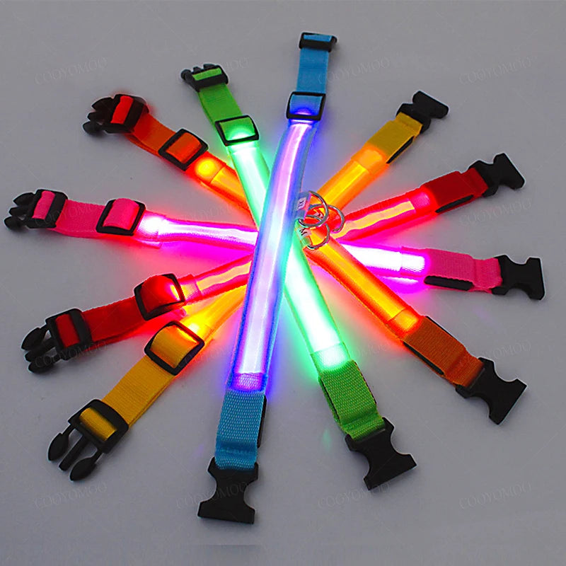 LED Glow Dog Collar