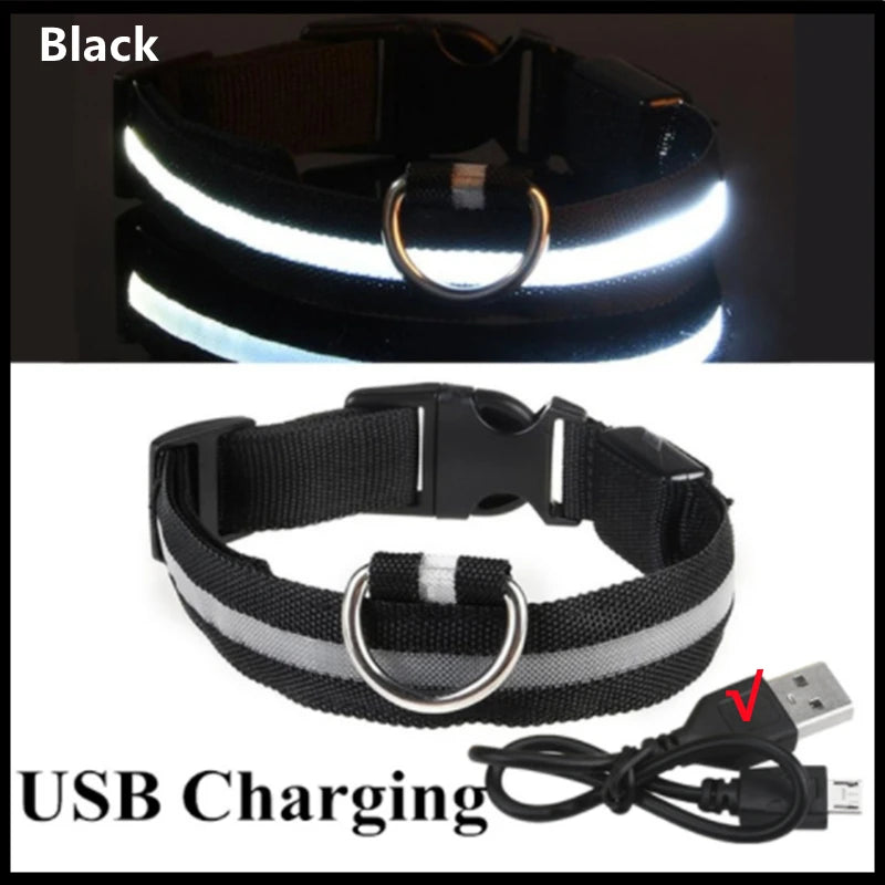LED Glow Dog Collar