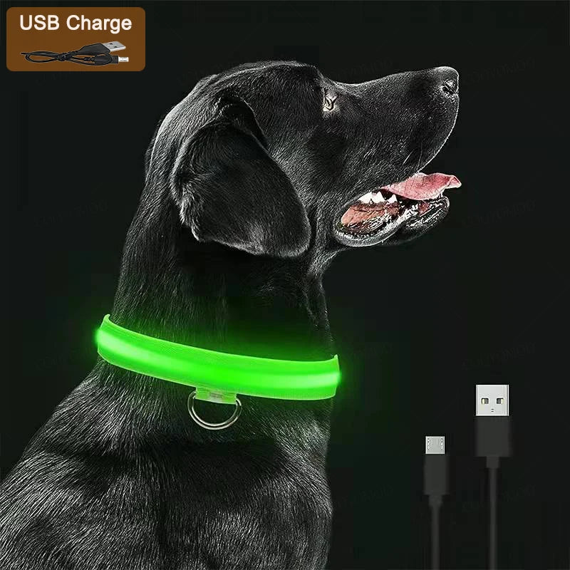 LED Glow Dog Collar